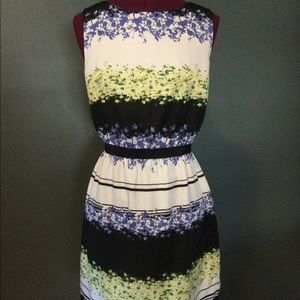 Ann Taylor Loft dress, size small petite